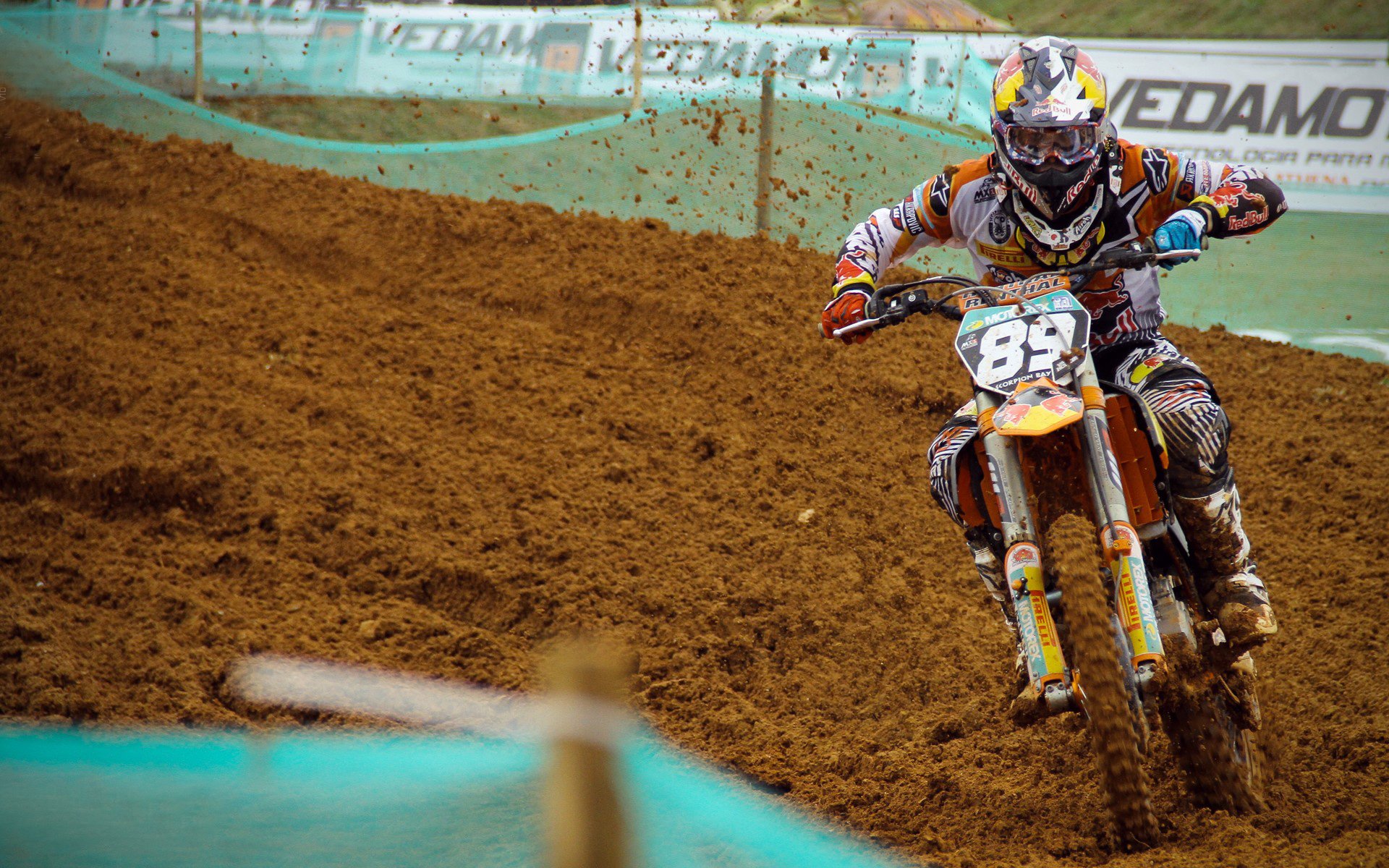 失控的皮囊，当申花的怒吼撞上国米的摔瓶，蓝黑与虹口的撕裂，当怒吼撞碎更衣室的寂静