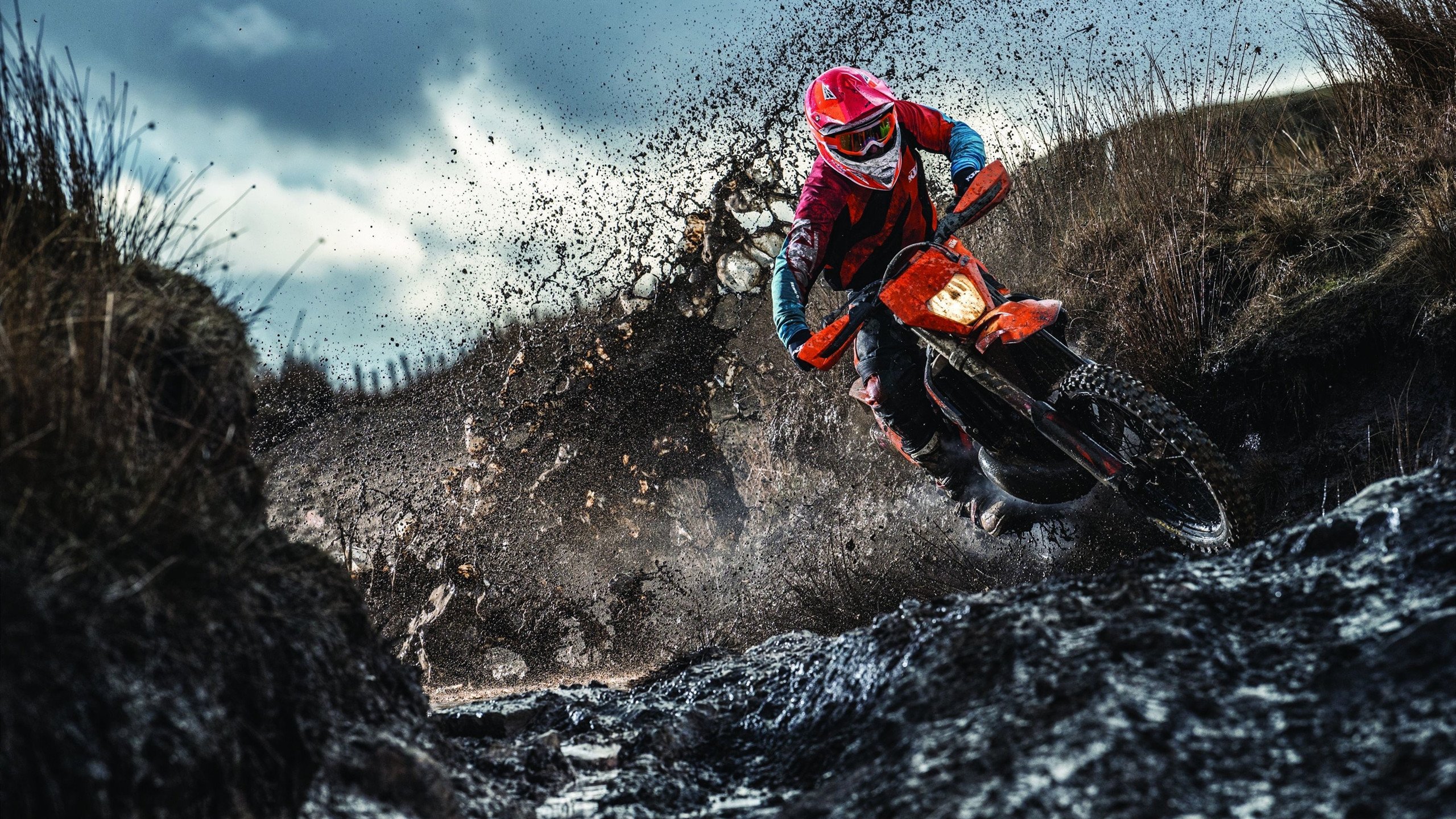 钢铁与玫瑰，当申花绽放于莱比锡之夜，钢铁与玫瑰，申花绽放莱比锡之夜